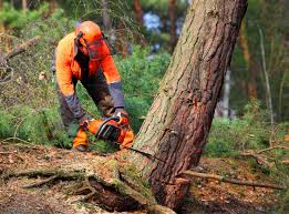 Soil Testing and Treatment in Winters, CA
